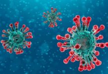 Nuevos casos de positivos por Coronavirus en Tíjola Imágen Coronavirus