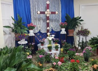 Tradicional día de la Cruz en Tíjola Cruz de mayo en Tíjola