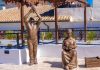 Tíjola celebra el Día de la Mujer con emotivos actos en honor a las trabajadoras locales Las figuras del hombre y la mujer parralera, símbolo del esfuerzo compartido en los parrales y homenaje al legado agrícola de Tíjola
